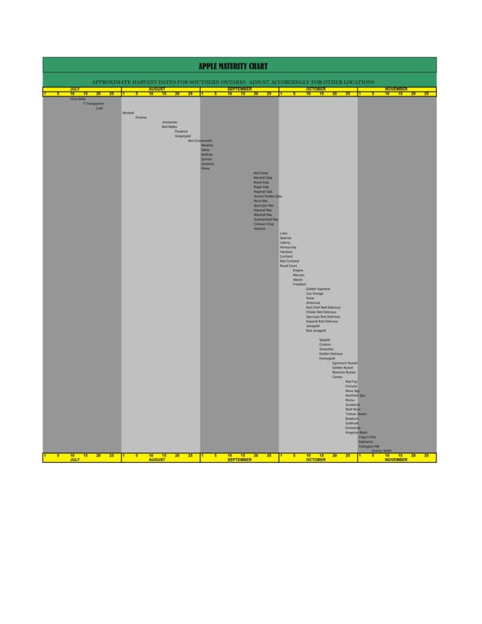 APPLE MATURITY CHART1 V. Kraus Nurseries LTD.