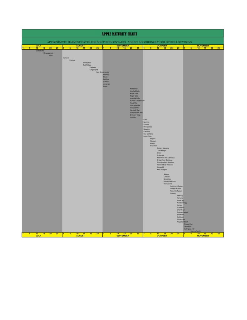 Rootstock V. Kraus Nurseries LTD.