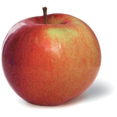 Apple Trees Archives - V. Kraus Nurseries LTD.